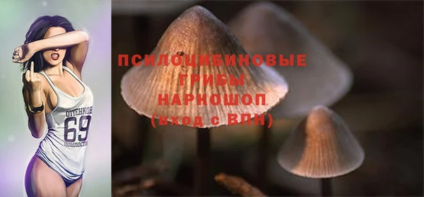 дмт Белоозёрский