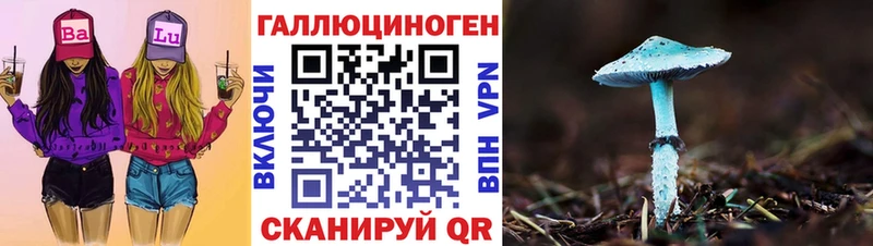 Купить закладки  Оленегорск  Псилоцибиновые грибы Cubensis 