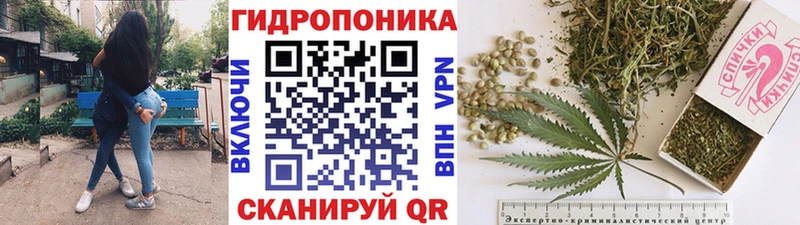 Купить  Оленегорск  Бошки Шишки план 